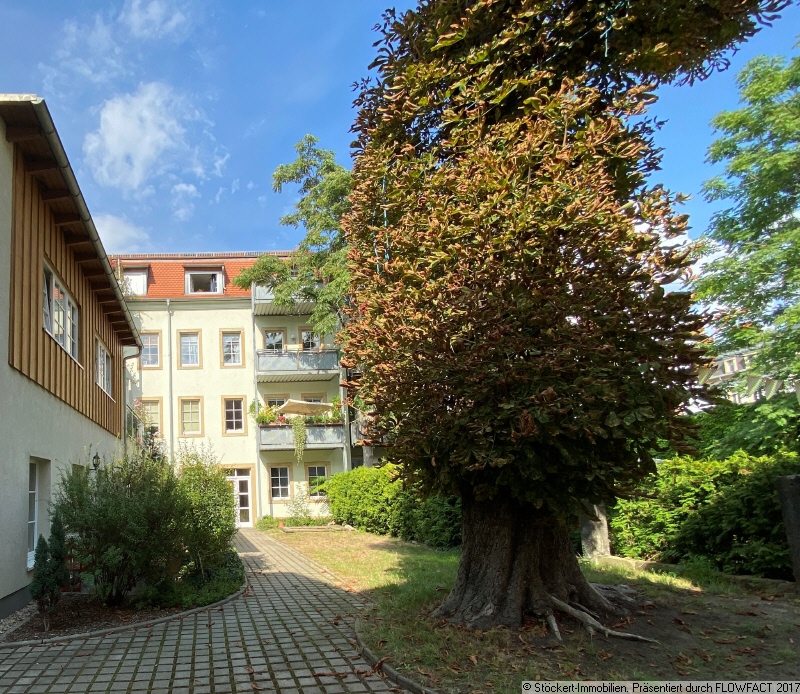 RESERVIERT! Vermietete 2-Zimmer-Wohnung im Herzen der Dresdner Neustadt